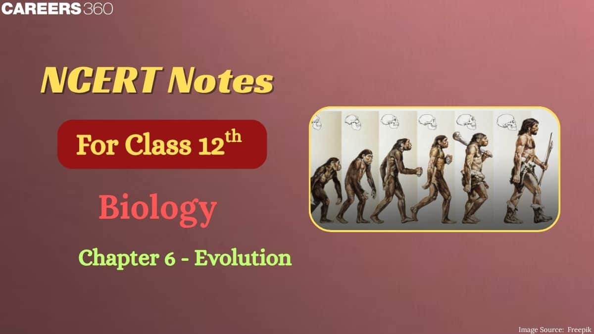 NCERT Class 12 Biology Chapter 7 Notes Evolution - Download PDF